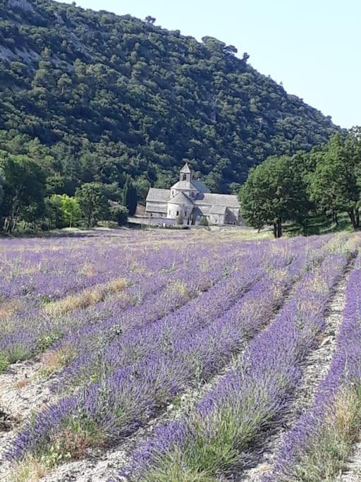 Bastidon Plein Sud Gordes Exterior foto