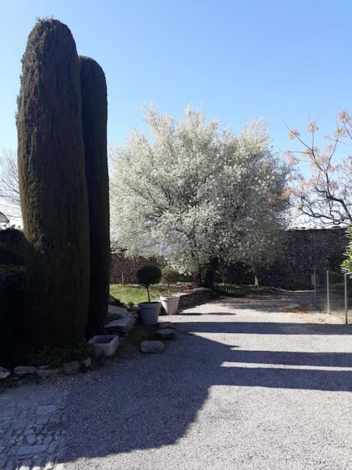 Bastidon Plein Sud Gordes Exterior foto